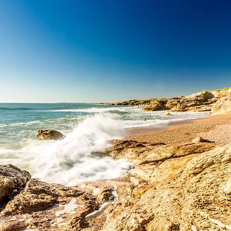 Maison Familiale 6 Pers Au Coeur Des Dunes A 650m De La Mer, Animaux Admis, 3 - Fr-1-231-303 Ferienhaus